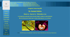 Desktop Screenshot of kisbuddha.hu